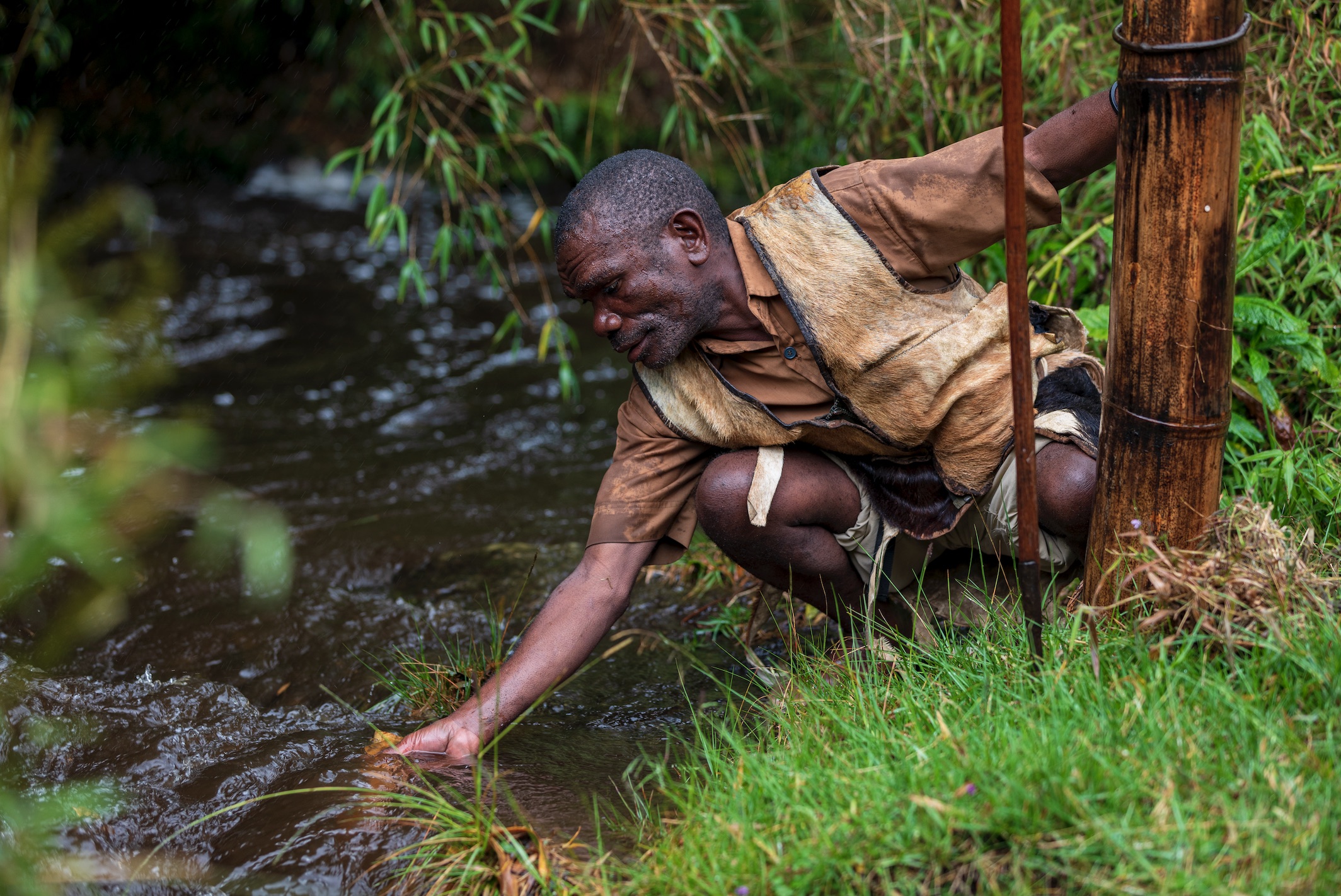 Une découverte de la forêt et de ses savoirs à Mgahinga